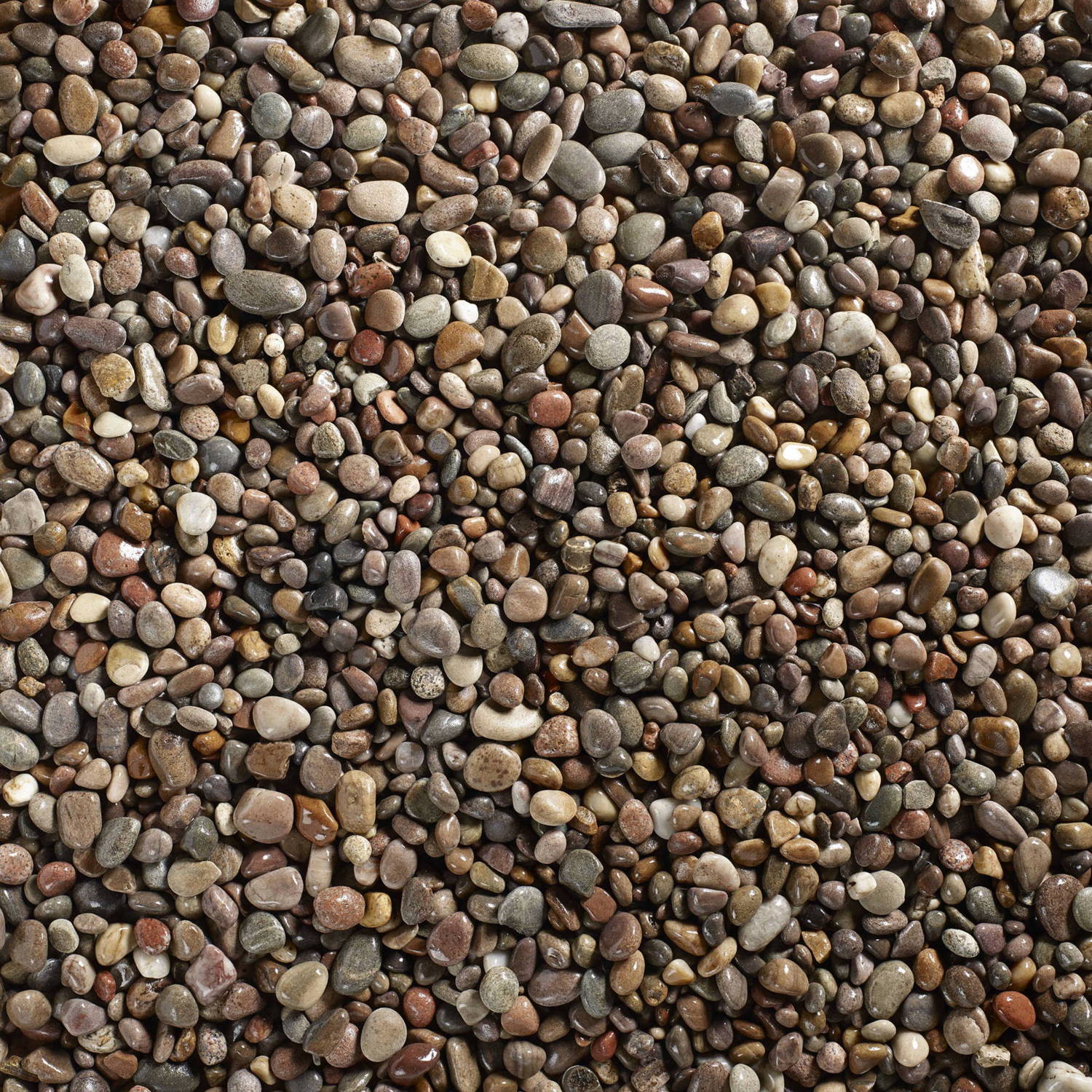 Scottish Tweed Decorative Pebbles Stones Wet